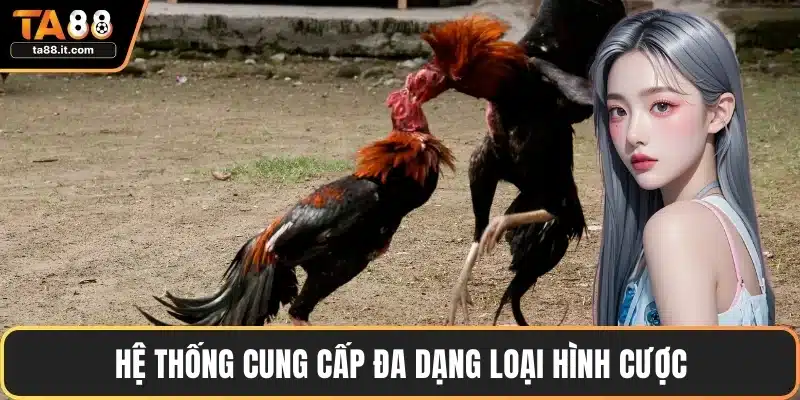 Đá Gà TA88 - Sảnh Đấu Hấp Dẫn, Tỷ Lệ Thắng Cao Nhất