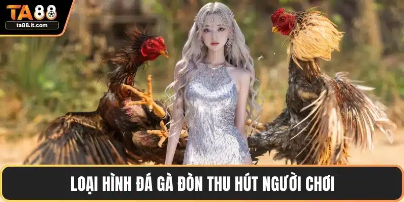 Đá Gà TA88 - Sảnh Đấu Hấp Dẫn, Tỷ Lệ Thắng Cao Nhất