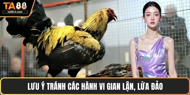 Luật Đá Gà - Quy Định, Chiến Lược Và Lưu Ý Quan Trọng