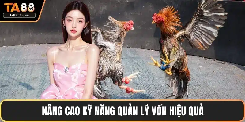 Luật Đá Gà - Quy Định, Chiến Lược Và Lưu Ý Quan Trọng