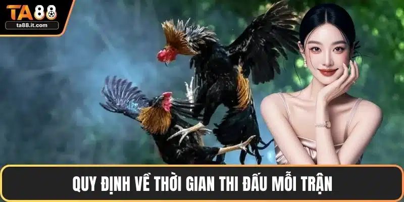Luật Đá Gà - Quy Định, Chiến Lược Và Lưu Ý Quan Trọng
