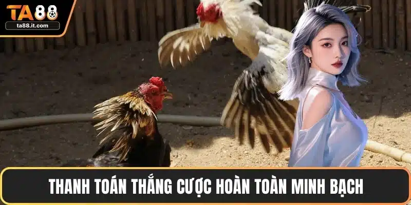 Trực Tiếp Đá Gà Tre - Chiến Lược Thắng Cược Hay Nhất
