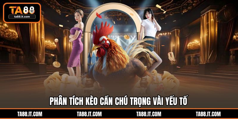 Đá Gà Cựa Dao C1 | Đỉnh Cao Sới Cược Trực Tuyến TA88 Đá Gà Cựa Dao C1 | Đỉnh Cao Sới Cược Trực Tuyến TA88